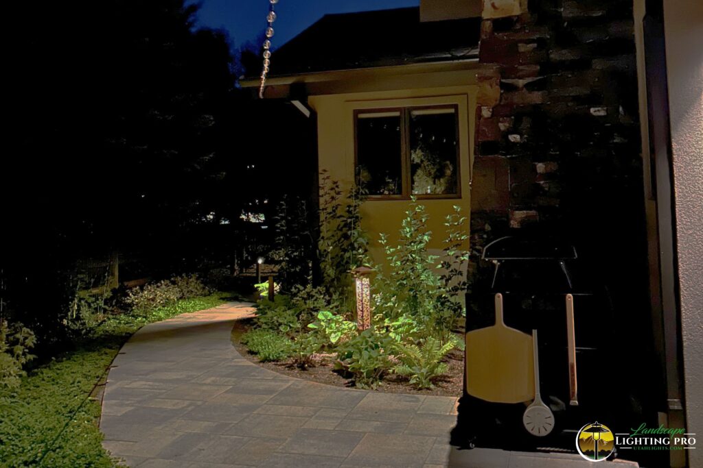 garden illuminated by a downlight